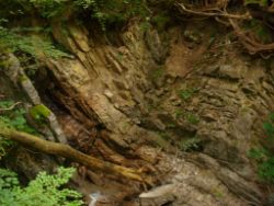 2013-07-20_Regina-F-Rau_Kochel-Rabenkopf (062).JPG